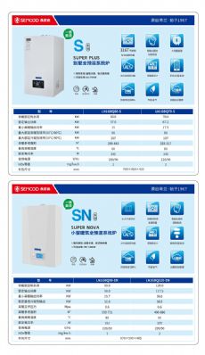 SSNϵ